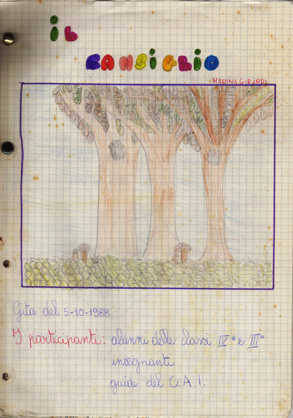 ilcansiglio ilcansiglio