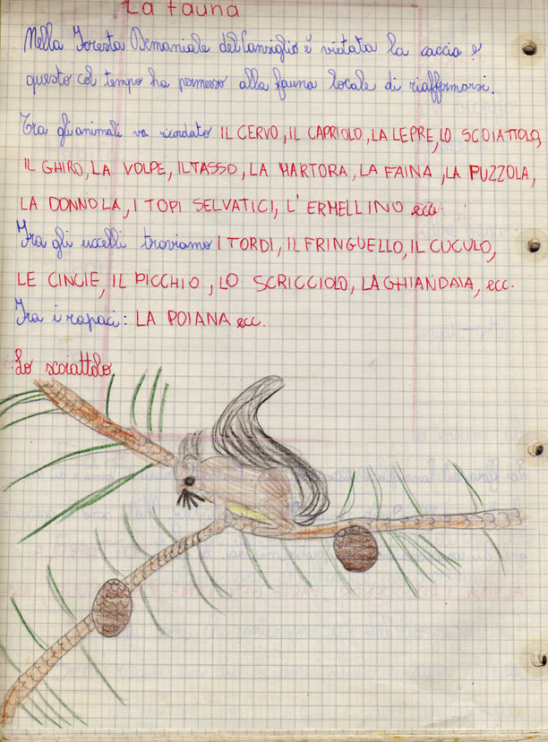 lafauna lafauna