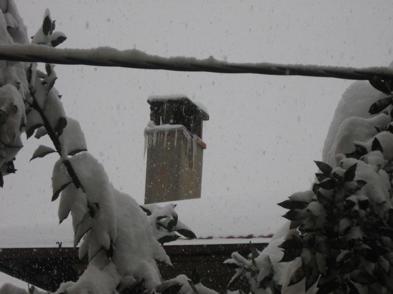 neve3 neve3