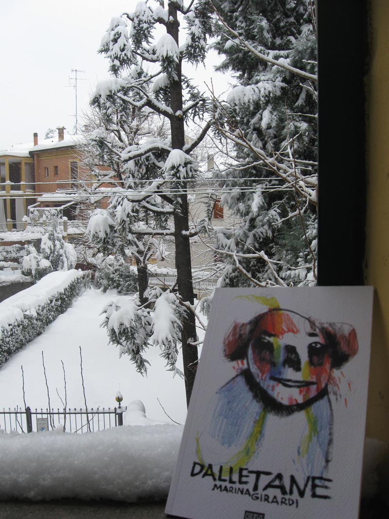 neve4 neve4