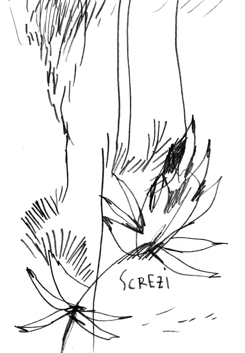 screzi1web