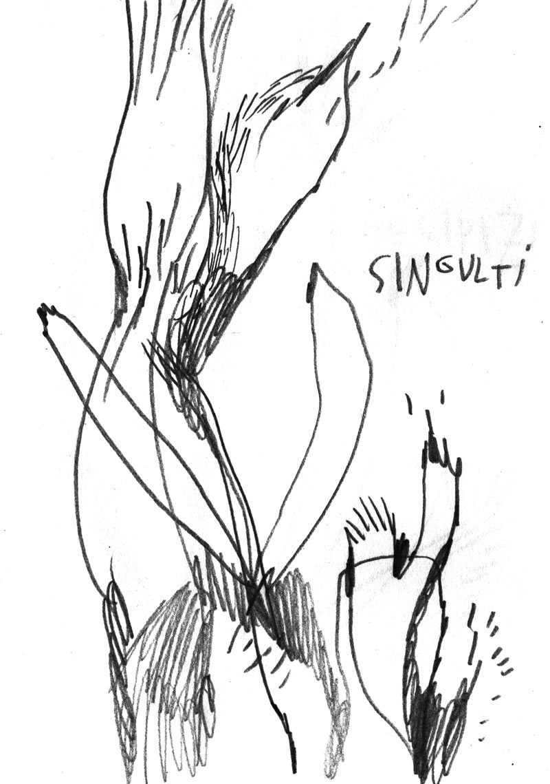 screzi2web