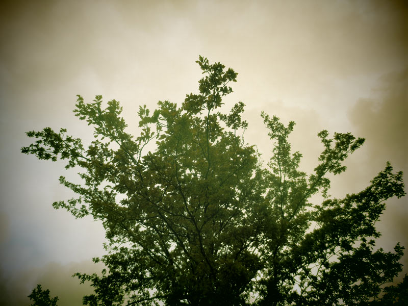 IMG_5107 IMG_5107