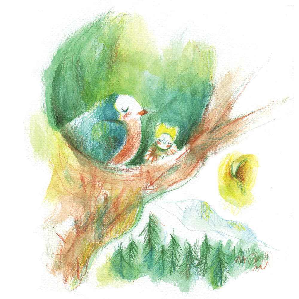 Nido-Pettirosso-3-web