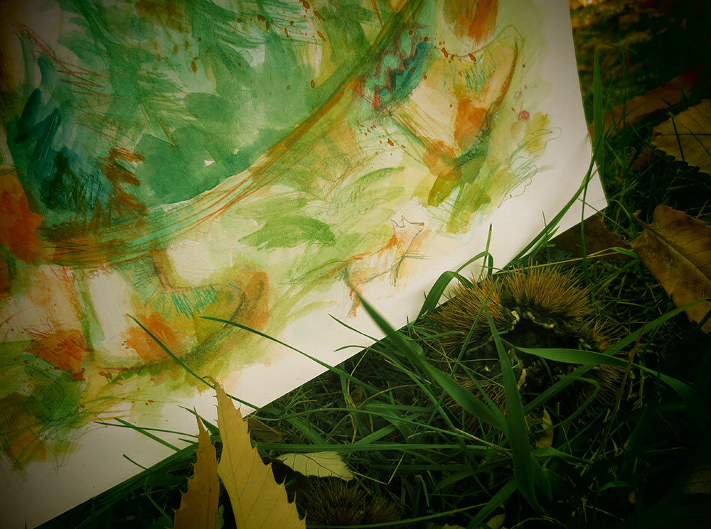 IMG_0988 IMG_0988